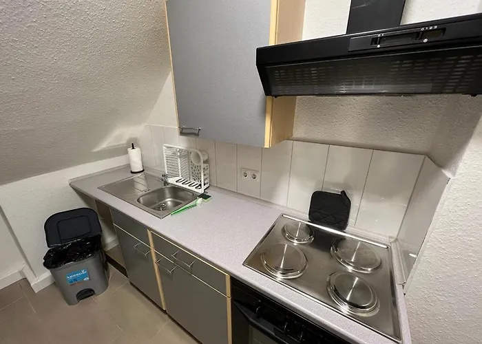 Hugo * 盖尔森基兴