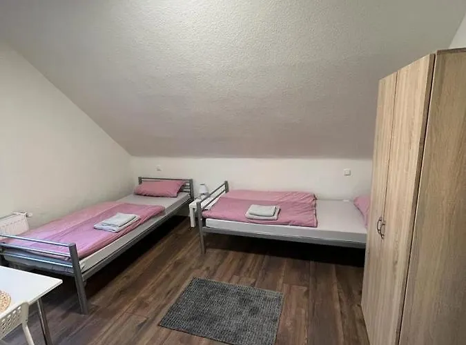 Hugo * 盖尔森基兴