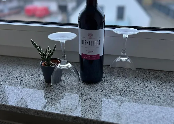 Hugo 公寓 盖尔森基兴